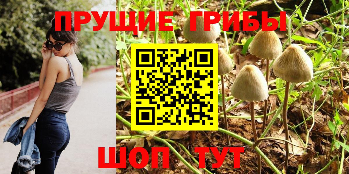 Псилоцибиновые грибы мицелий  наркошоп  Набережные Челны  Вход с VPN 